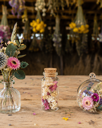 Ateliers créatifs fleurs séchées Terralya