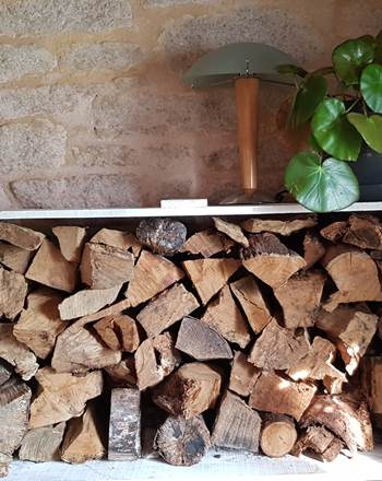 Détail mignon bois paysage