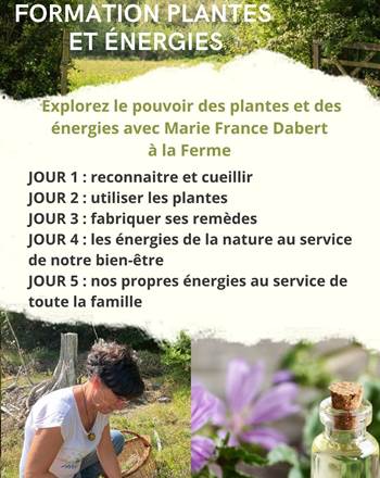 affiche 5 jours