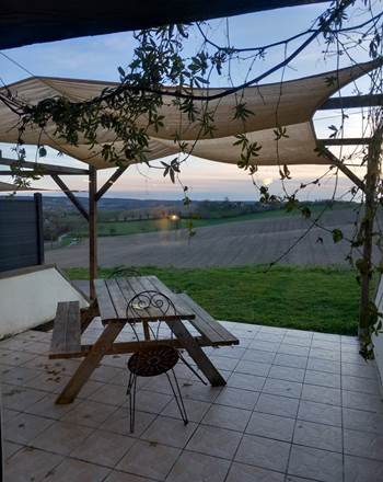 Terrasse Le  Tournesol