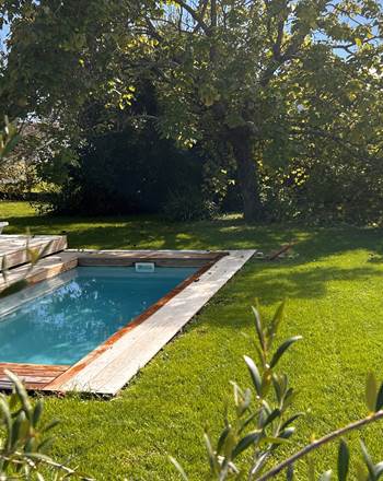 piscine avec olivier
