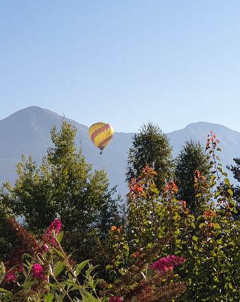 IMG-20210911-WA0008