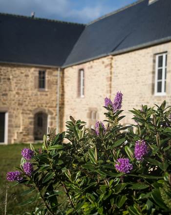 Le Domaine des 4 Chouettes en fleurs