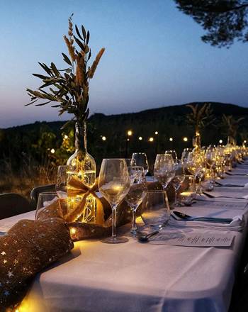 dîner dans les vignes