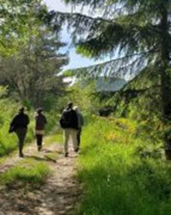 ballade-en-foret-143x300