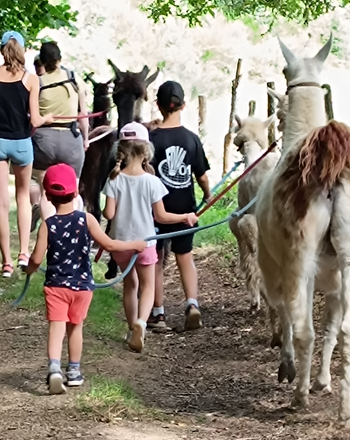 balade avec enfant
