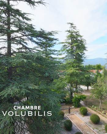 CASTELLROSE-Volubilis-5