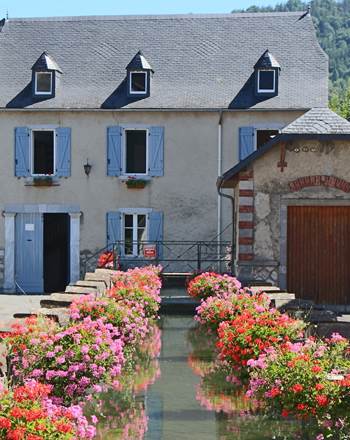 Moulin_été 2016a
