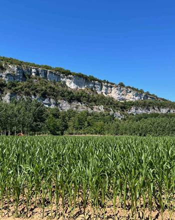 Environnement: champs et falaises
