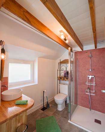 La Maison des Cochons - Salle de douche