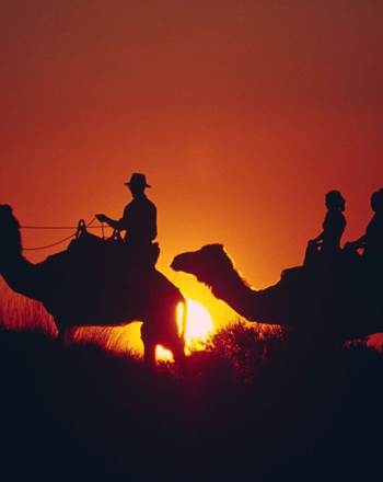 CAMEL 2