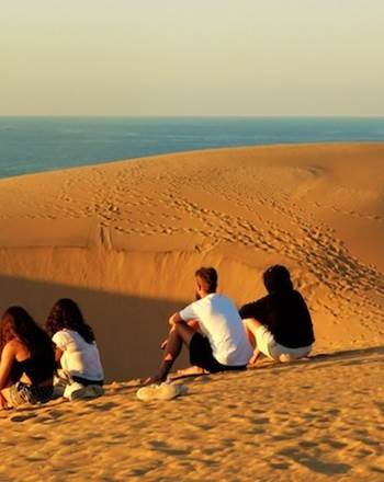 sandboard 10