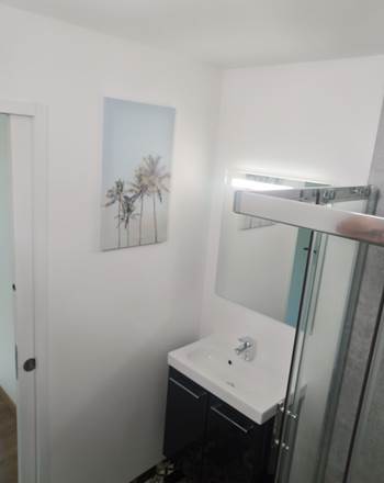 salle de bain douche lavabo et WC