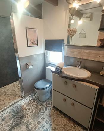 salle de bain douche lavabo et WC