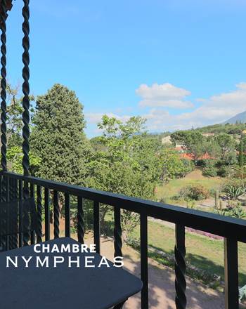 CASTELLROSE-Nympheas-13