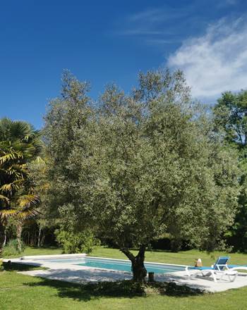 Gîte avec piscine privée, dans la vallée de la Dordogne