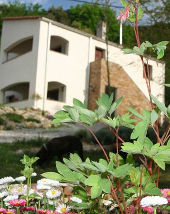 bâtiment de 2013
