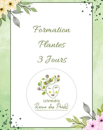 3 jours plantes ( canva)