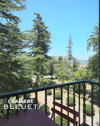 CASTELLROSE-Bleuet-8