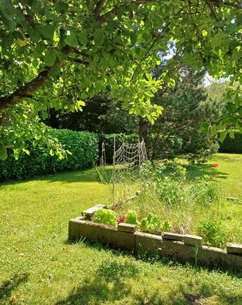 jardin