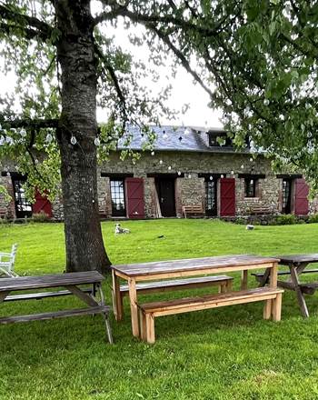 Profiter ensemble sous l'ombre des  saules