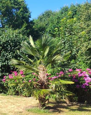 Jardin privé