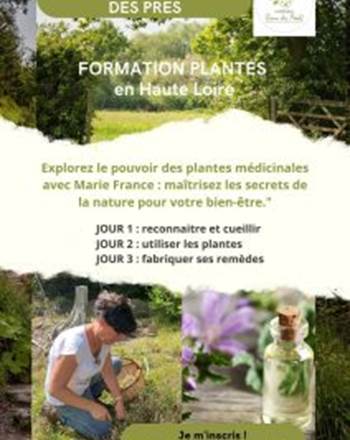 affiche-formation-plantes-3-jours-212x300