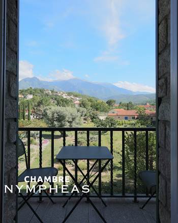 CASTELLROSE-Nympheas-7