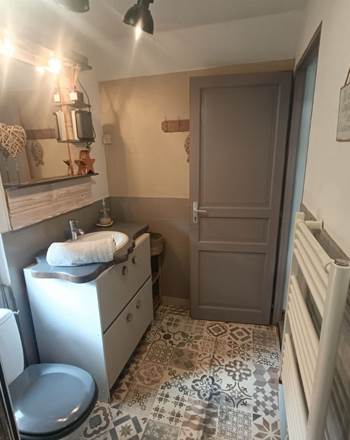 salle de bain douche lavabo et WC