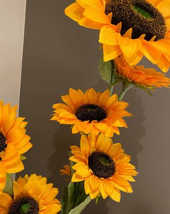 Bouquet de Tournesol