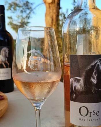 Dégustation de vin et tapas au Mas Farchat