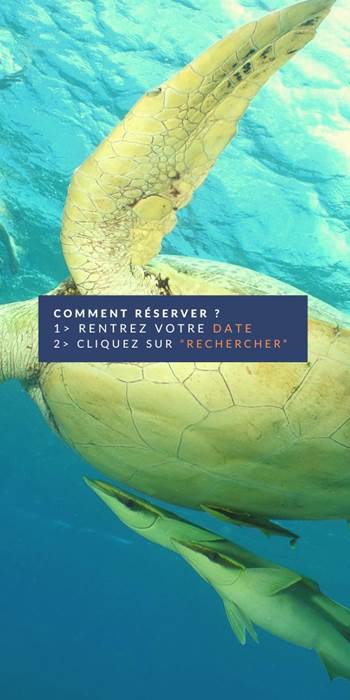Couverture site RESA (1600 x 1200 px)(2)
