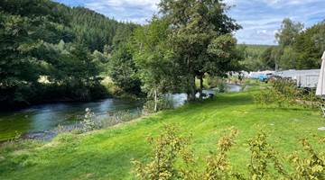 IMG_5330 (1)