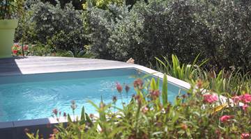 Iguane House villas & Micro Spa piscine Villa Lagon