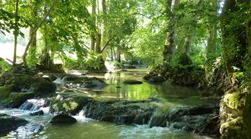 Notre lien avec la nature décide de nos comportements ... si si