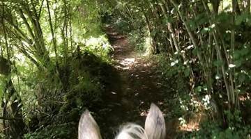 Randonnée Cheval
