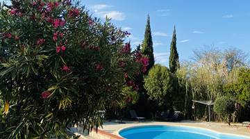 Mas Canigou+Albères piscine et lauriers-