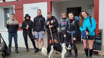 chien cani compostelle