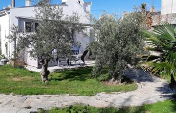 Terrasse et jardin