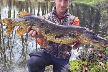 Etant privè à 7km du Moulin de Lavaugarde