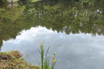 Etant privè à 7km du Moulin de Lavaugarde