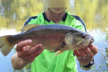 Etant privè à 7km du Moulin de Lavaugarde