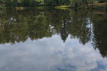 Etant privè à 7km du Moulin de Lavaugarde