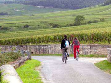 velos-vignoble_photo-alain-doire_bourgogne-tourisme_0