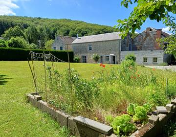 jardin arrière