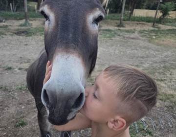 calin avec Dinky