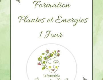 1 jour 
