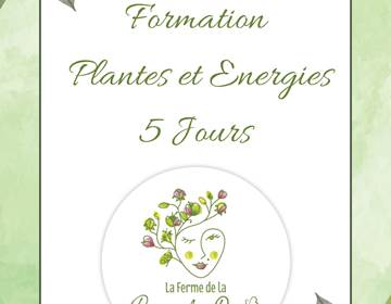 5 jours plantes et energies