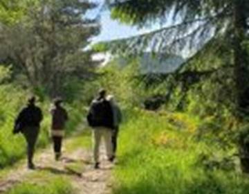 ballade-en-foret-143x300