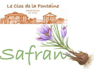 Panneaux porte20x15SAFRAN